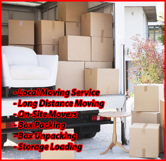 Packers And Movers Noida Sector 151